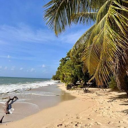 Bambou Suite Vue Mer A 50 M De La Plage Et De La Piscine 圣吕斯 外观 照片